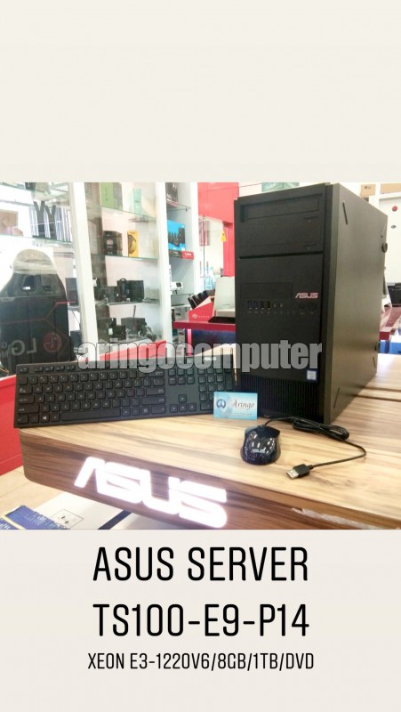 BuildUp PC Asus Server TS100 E9/PI4 Proc E3-1220 V6/8GB ECC/1TB SATA2/Intel gigabit lan/Dvd/Wired Mouse Key