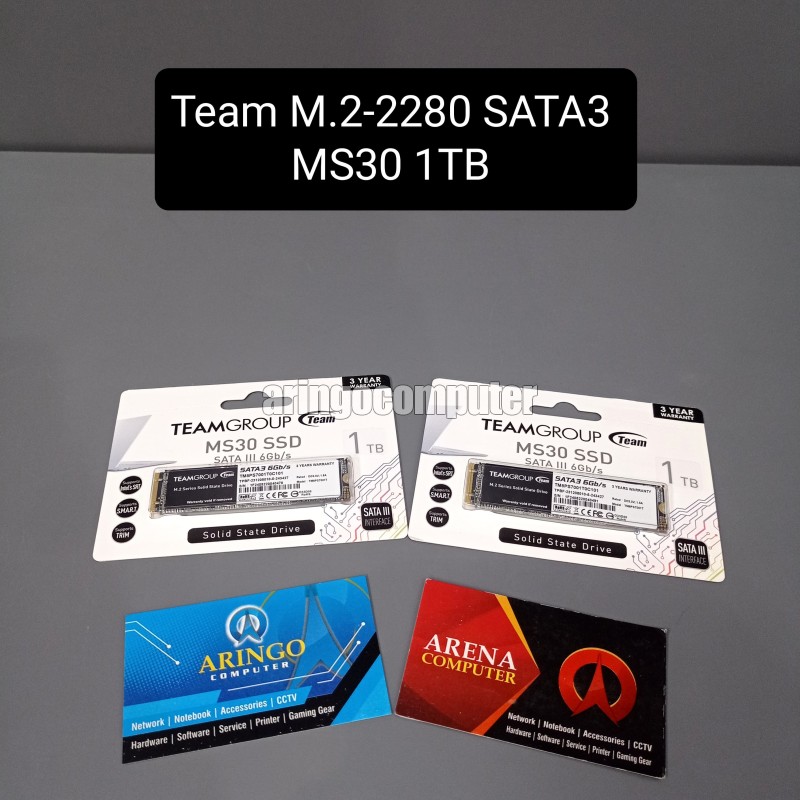 SSD Team M.2-2280 SATA3 MS30 1TB